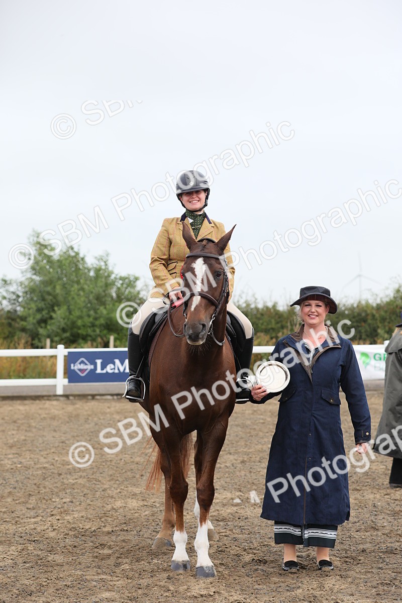 SBM_21393 - Class 805 - Ridden Veteran Horse