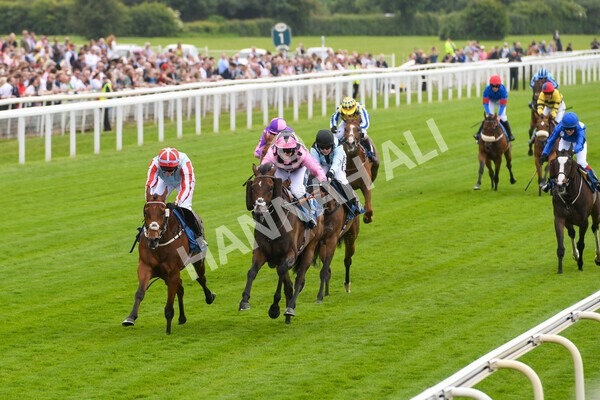 yr11062022r2-61 - Race 2 2.00pm Queen Mother's Cup