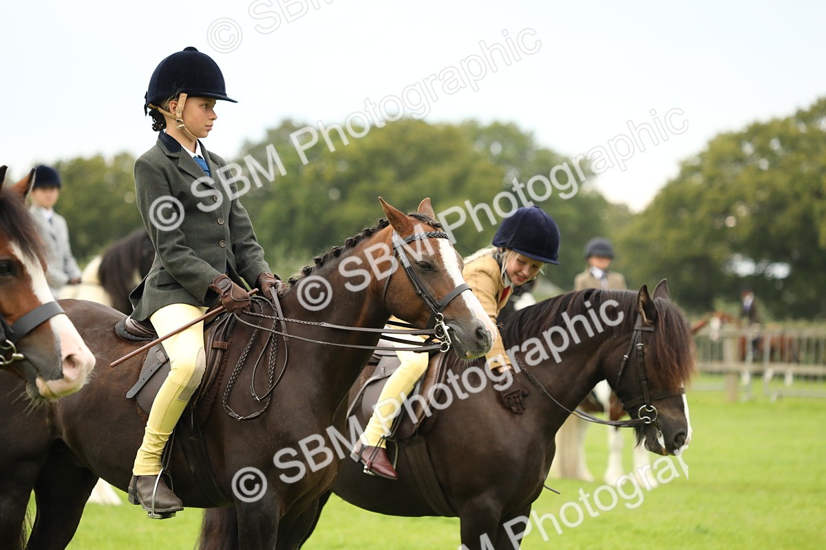 SBM_71387 - S41 - Ridden Equitation (Best Rider)