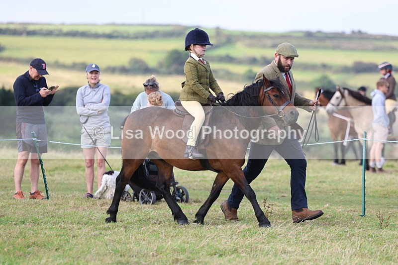 3E7A3544 - Class 2: Lead rein