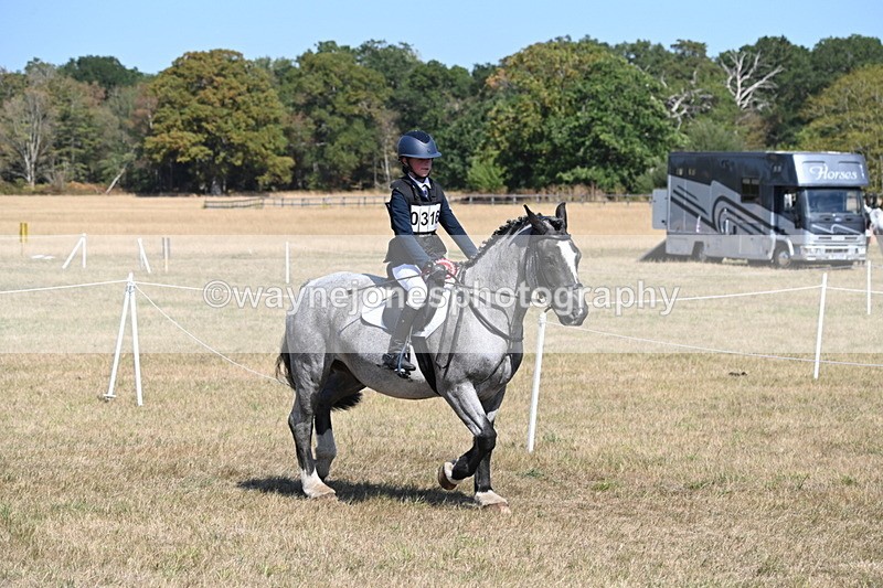 WJ6_9188 - Championship Classes 33-38