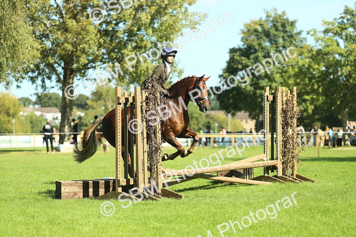 SBM_39150 - S29 - Novice & Newcomers Working Hunter Pony