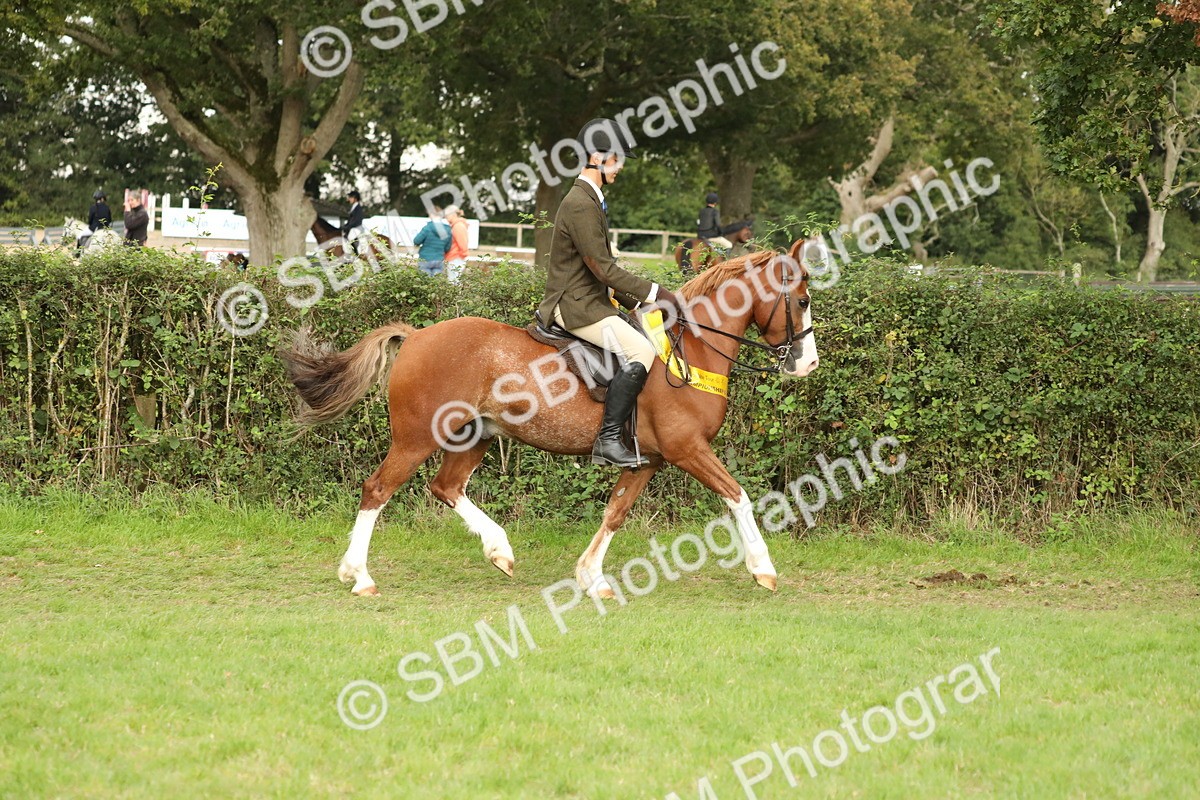 SBM_75355 - Equitation Supreme Championship