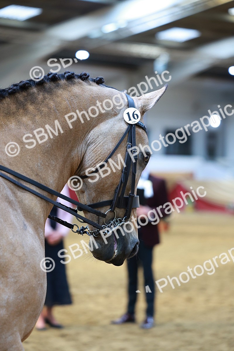 SBM_20085