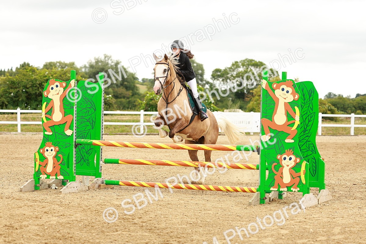 SBM_001596 - Class 9 - Senior British Novice - 90cm