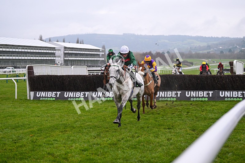 131224-Race 5-Numitor-9409 - Race 5