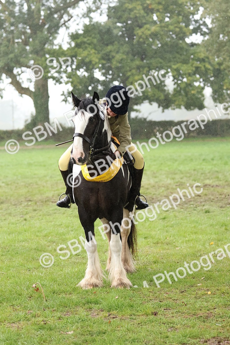 SBM_73154 - Ridden Pony Supreme Championship