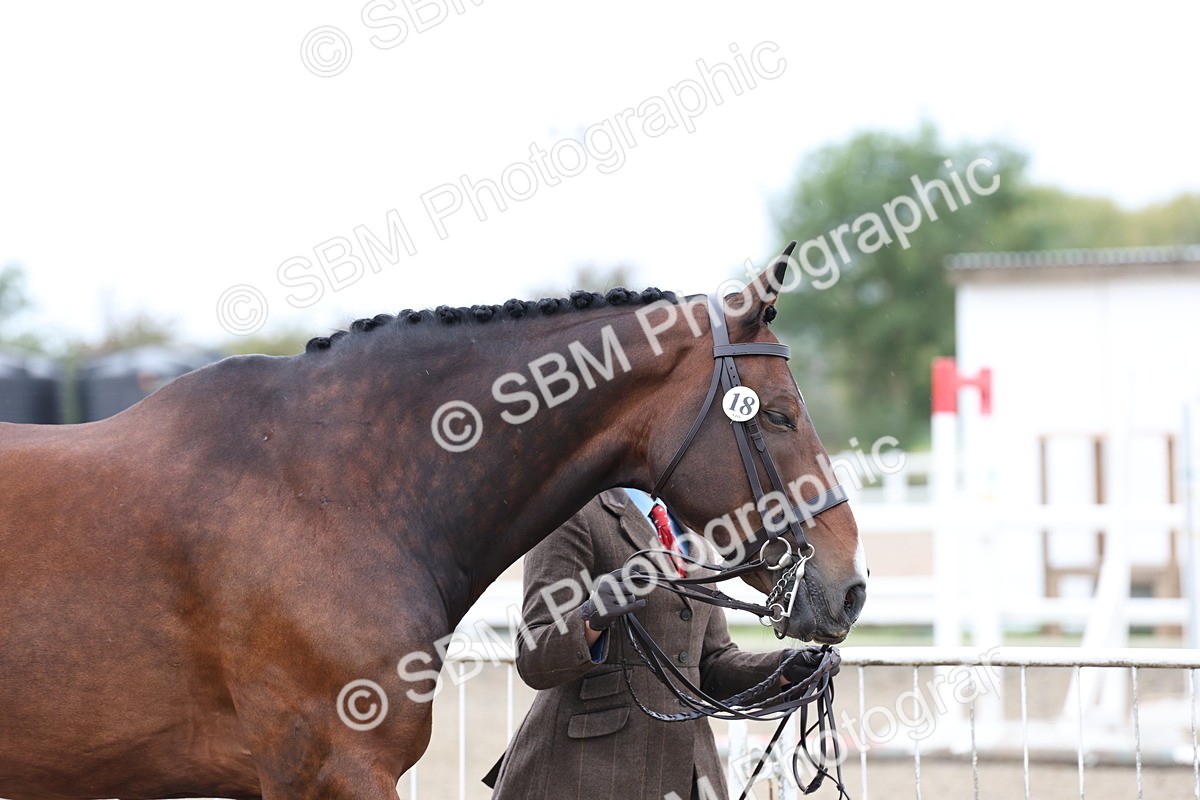 SBM_00012 - Class 50 - Best Turned Out IH