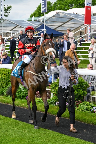150524-Race 5-Diligent Resdev-4484 - Race 5 4.15pm Conundrum HR Consulting Handicap