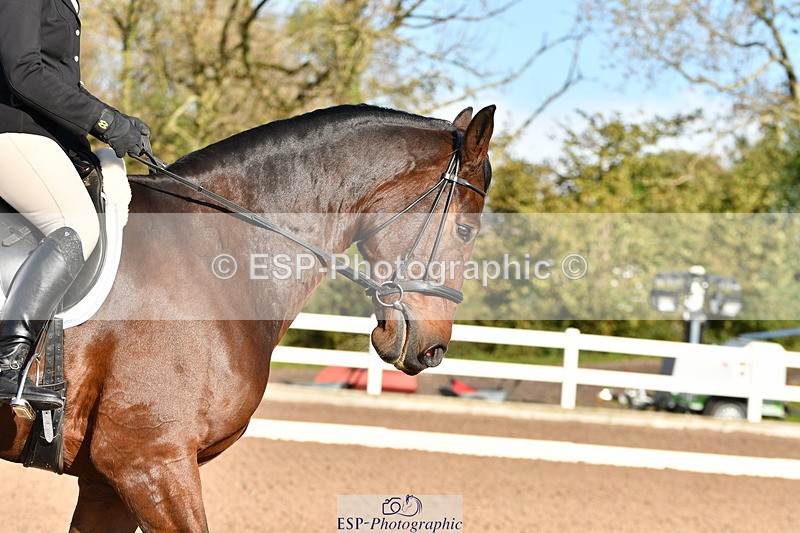 231105A-104740-00149 - UnAf Prelim 18