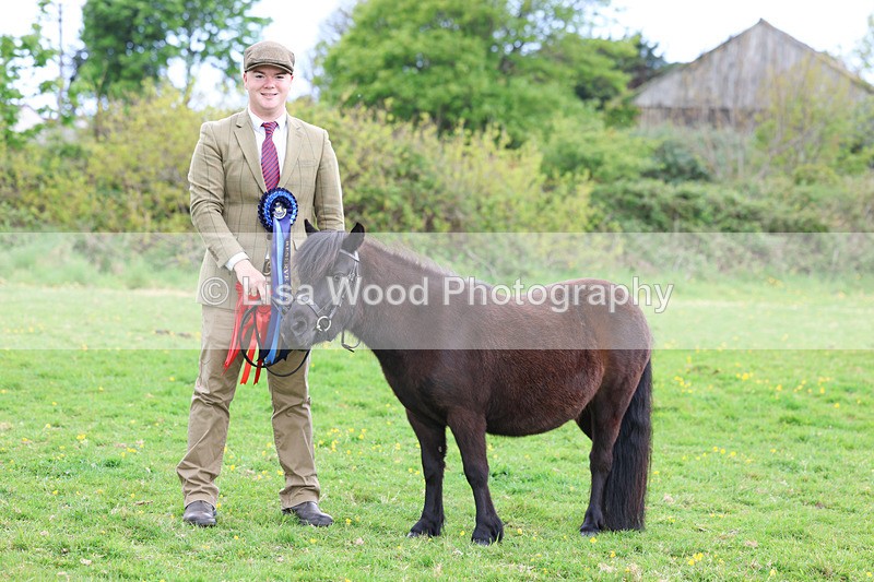 3E7A0930 - In Hand Championship