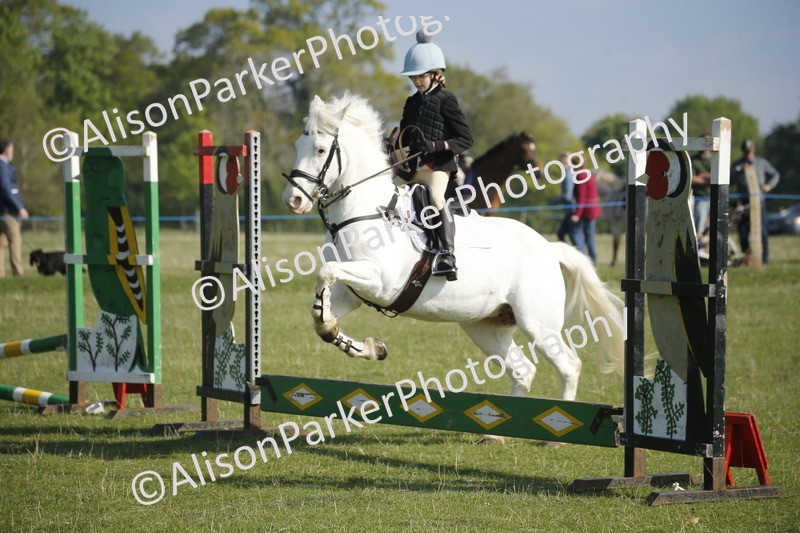 20250427-0260 - Class 12 - Rookie Jumping 40cm