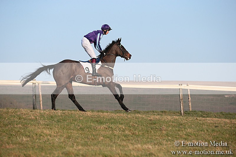 PtP 230219 607 - Vine & Craven Point-To-Point - Barbury 23/02/19