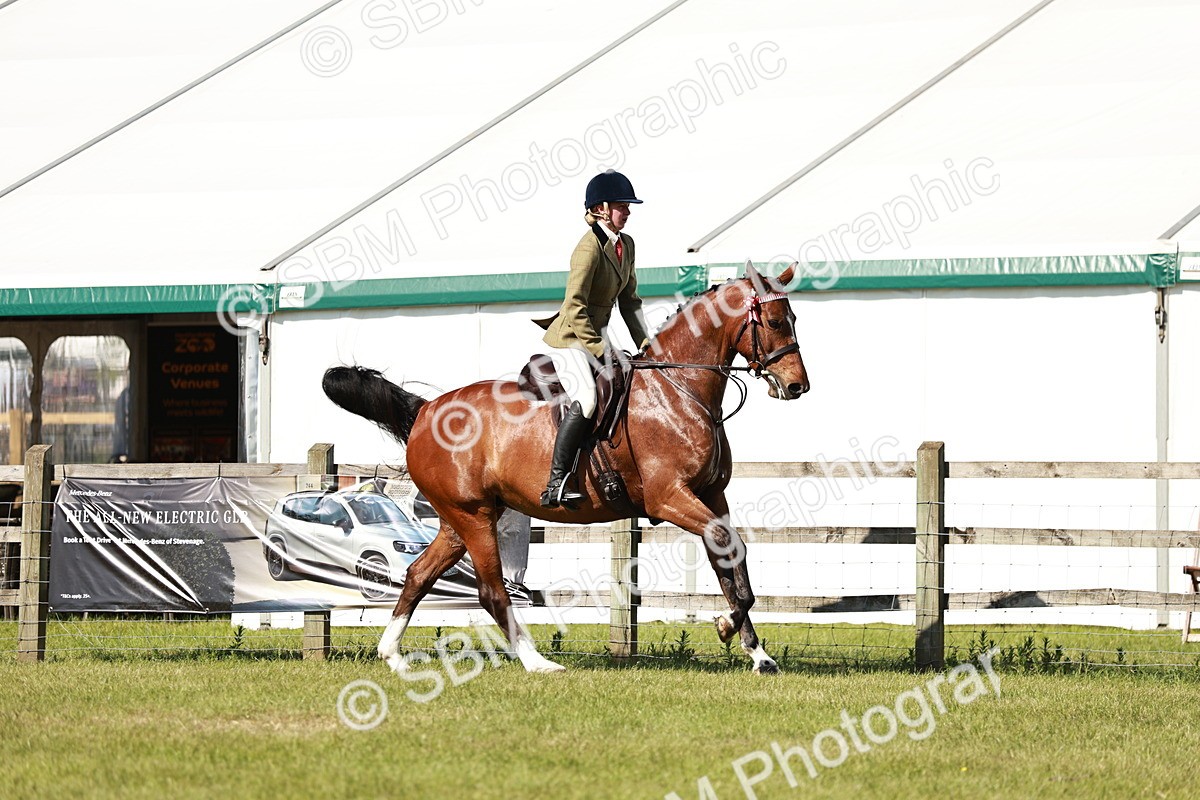SBM_18884 - Class 114 - RIHS & SEIB Open Working Show Horse