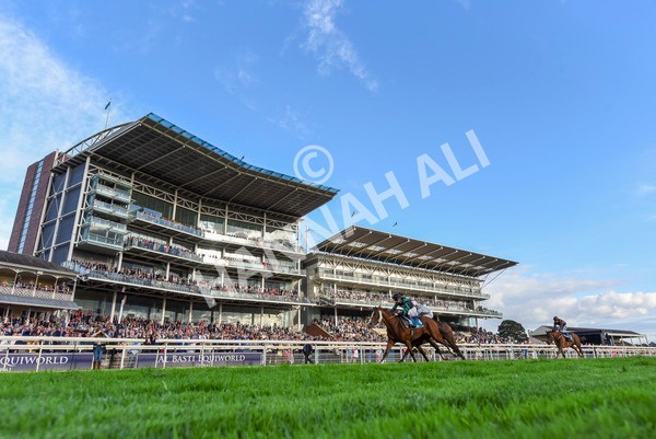 230923-Race 6-September Power-3422 - Race 6 4.55pm New To York Rio Brazilian Handicap