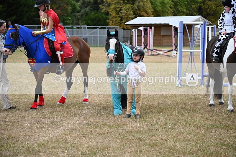 WJ6_9075 - Class 11 Fancy Dress