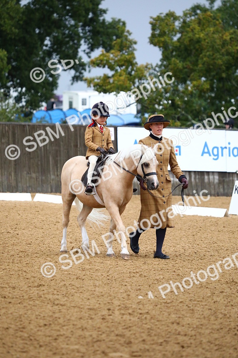 SBM_34575 - D26 - Starters Lead Rein