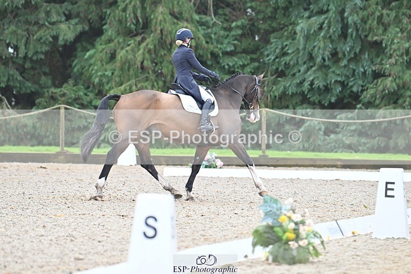 231019-104545-01958 - 103-BEECH.HILL.KIKO.CLOVER-Harriet.Blair-DR