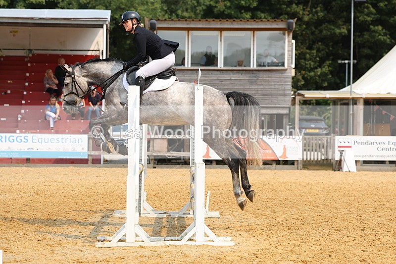 3E7A1563 - Class 4: Senior British Novice/90cm open