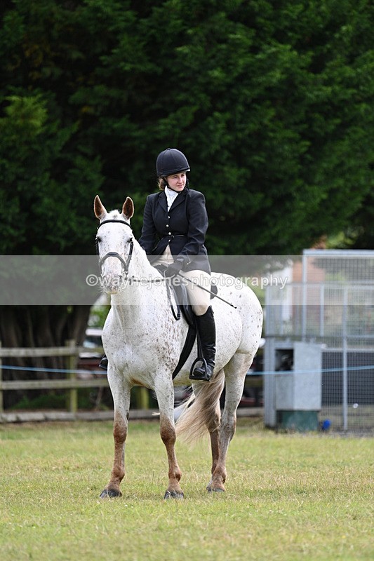 WJ7_8531 - Class 7  Riding Club Show Horse
