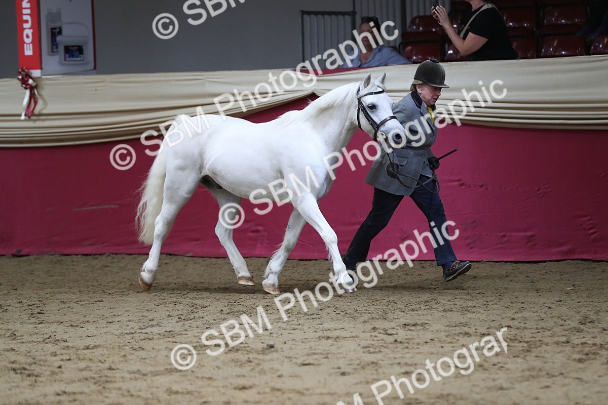 SBM_04944 - Class 8R- Regional -IH Veteran