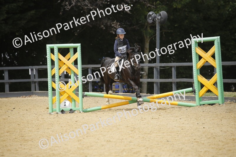 20250622-4661 - 50cm