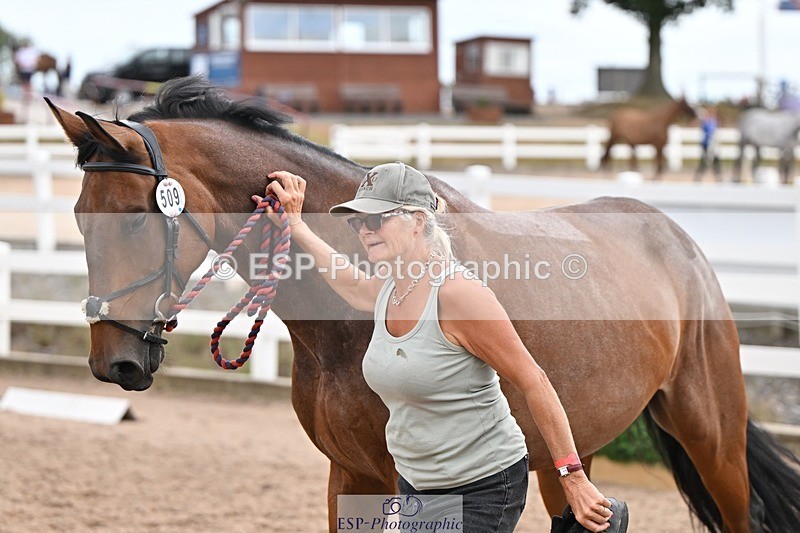 250716-145935-01593 - Trot Up 2.30 to 3.30