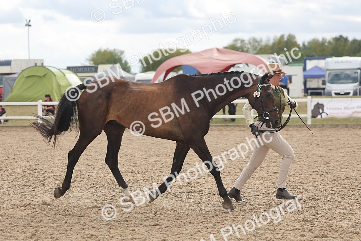 SBM_06886 - Class 25 - IH Foreign Breeds - Purebred