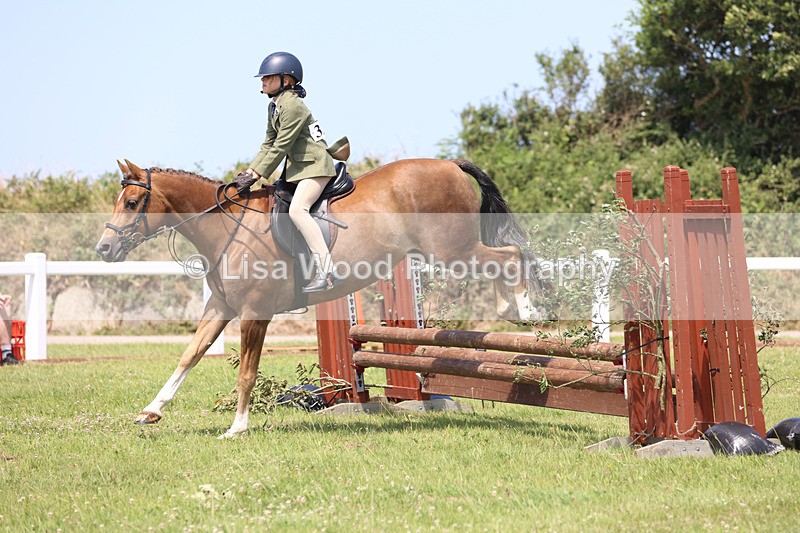JPP_2672 - Class 21: Working Hunter 60cm