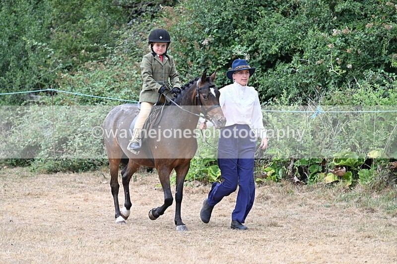 WJ7_0385 - Class 6 Ridden Mountain and Moorland