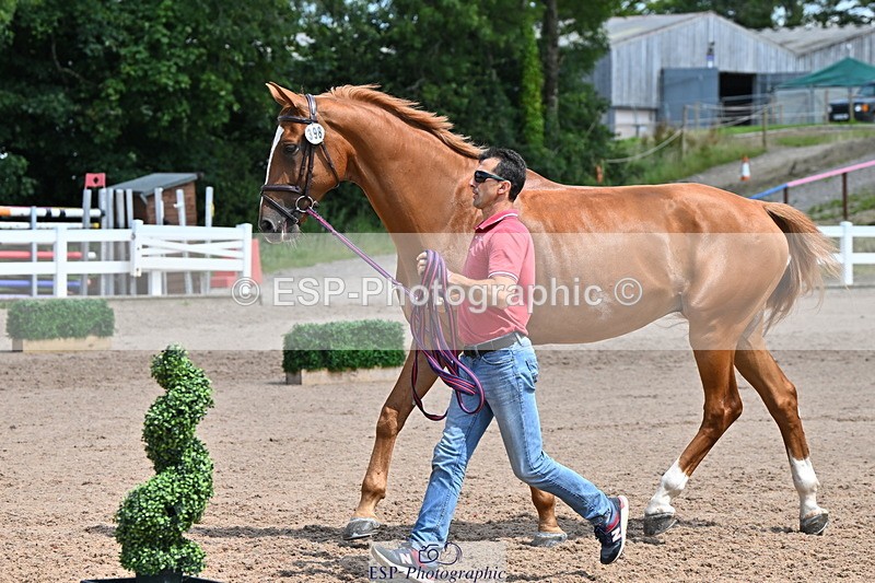 240718A-105259-01410 - Trot Up 12pm to 1pm
