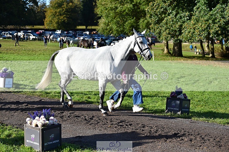 231022-100642-22241 - 453-SOURIS.DE.NESS-Darcy.Smith-TrotUp+SJ