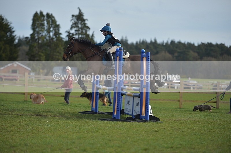 NGP_3589 - Time 15:46 to 16:17