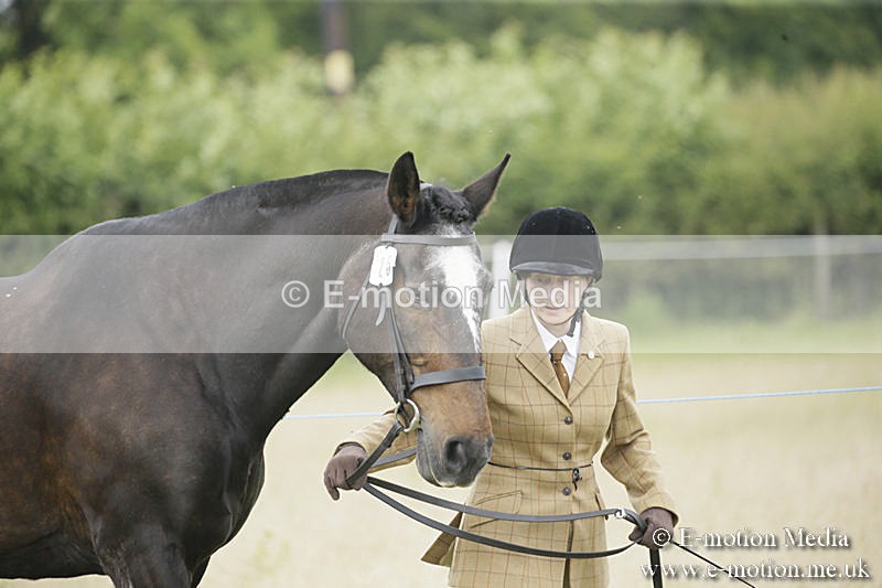 B230619-0476 - Bourne Valley Riding Club Summer Show 23/06/19
