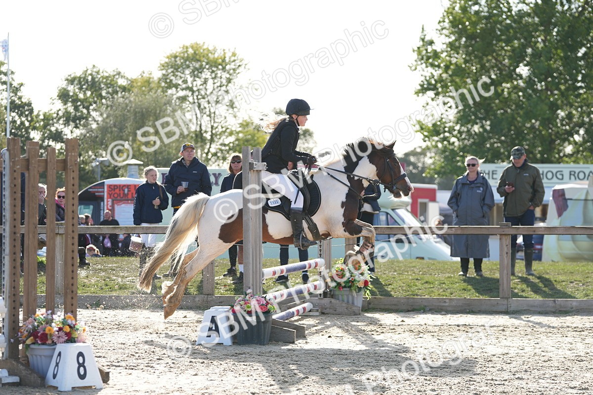 SBM_51019 - J8 - Junior Pony 65cm Championship