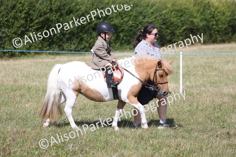 20260906-2729 - Class 25 - Absolute Beginners Pony