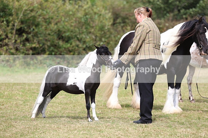 3E7A5427 - Class 19: Best Coloured in Hand