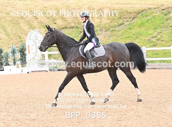 BPP_0355 - CLASS 26 SUN 5 Year Old Non Qualifier