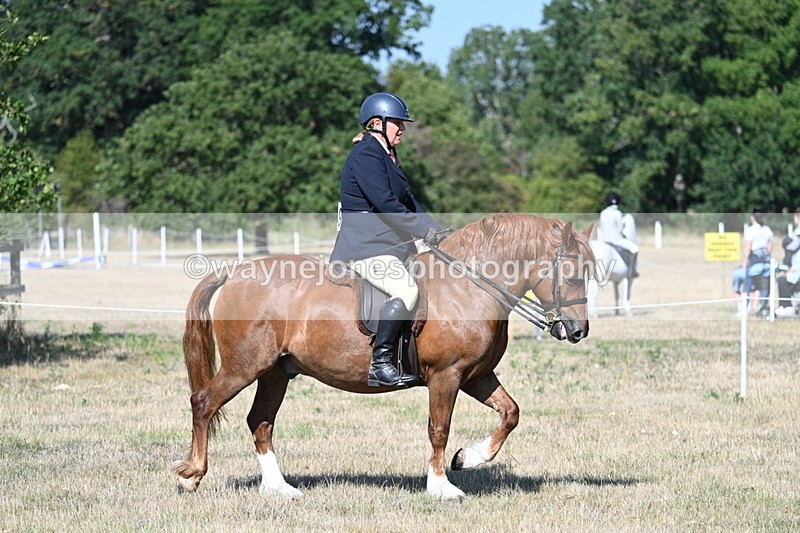 WJ7_3409 - Class 9 Mountain & Moorland Ridden