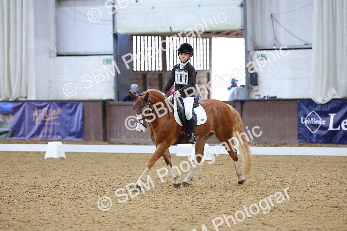 SBM_004196 - Intermediate