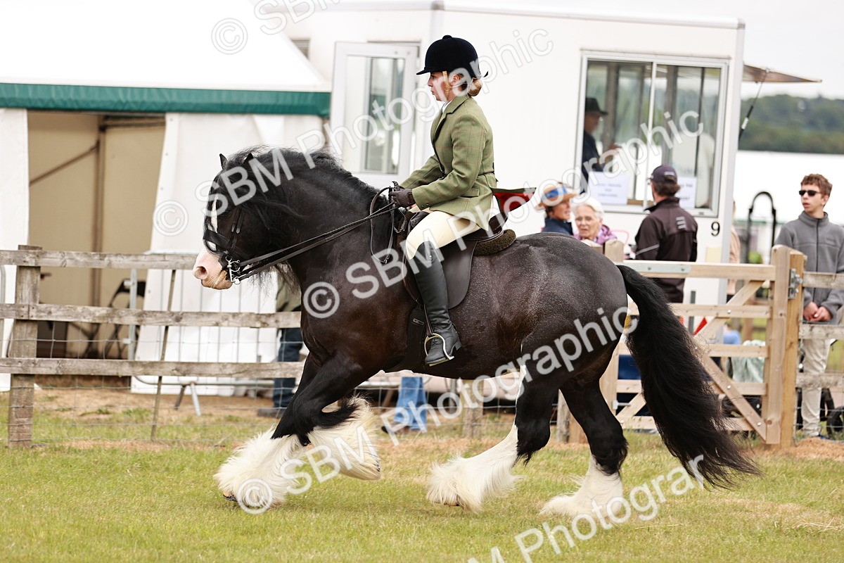 SBM_06166 - Class 39-41 TGCA In Hand and Ridden