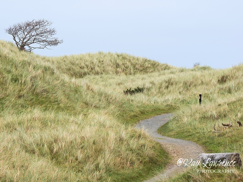 Republic of ireland Co Donegal_RLP946391 - Landscape Fine Art
