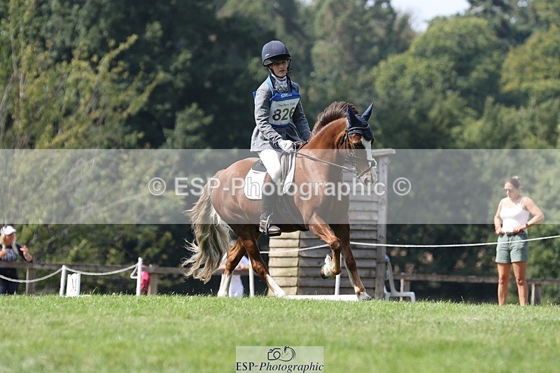 250823A-134338-31363 - Arena D