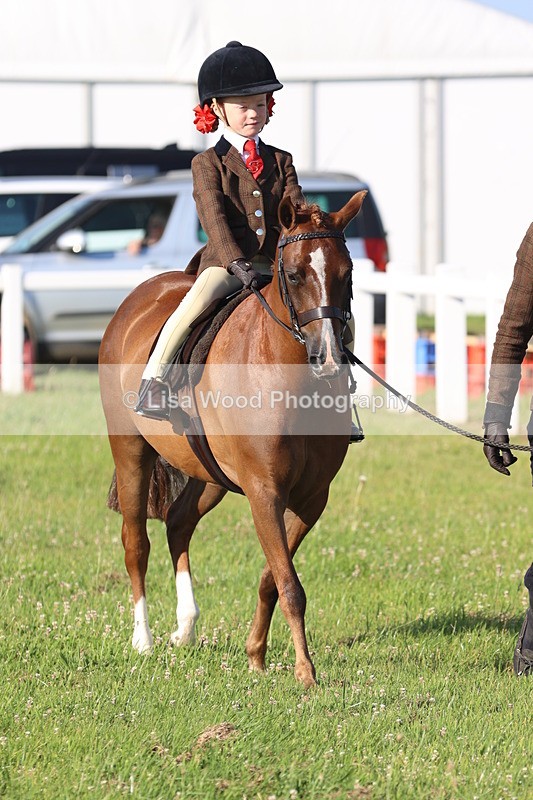 JPP_0657 - Class 16: Cornish Combination Leading Rein