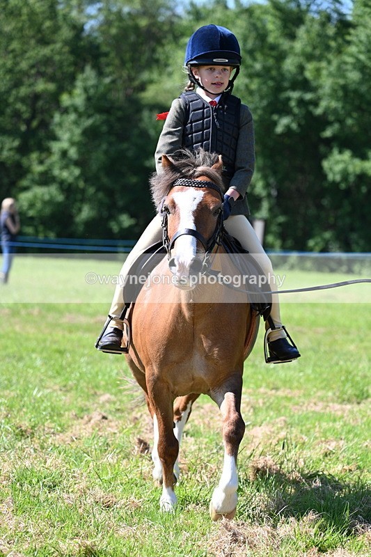 WJ7_0638 - Class 8 First Rally Pony