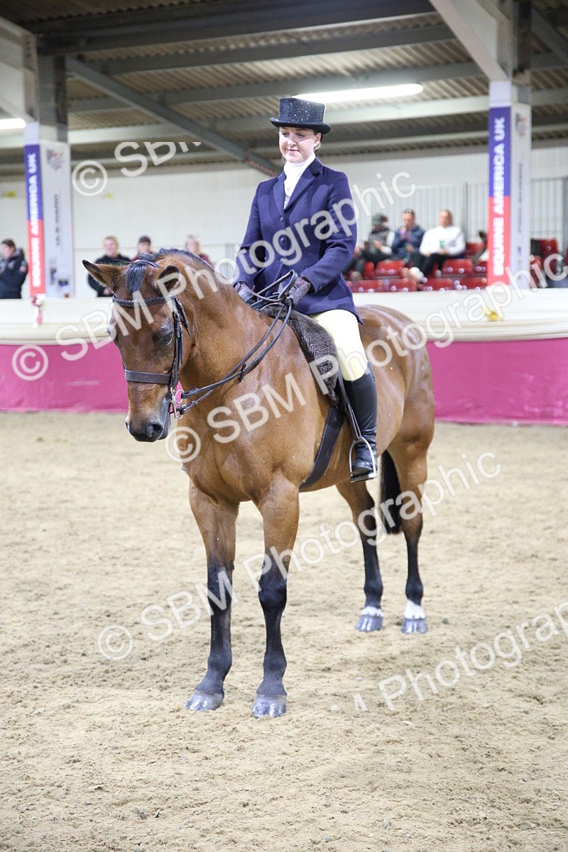 5K7A1605 - Class R Working Veteran Champ