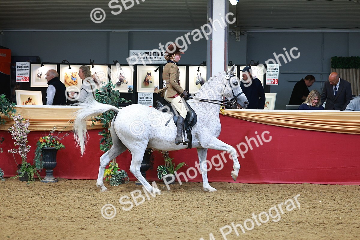 SBM_09899 - Class 102 - HOYS Veteran Qualifier - Ridden Veteran