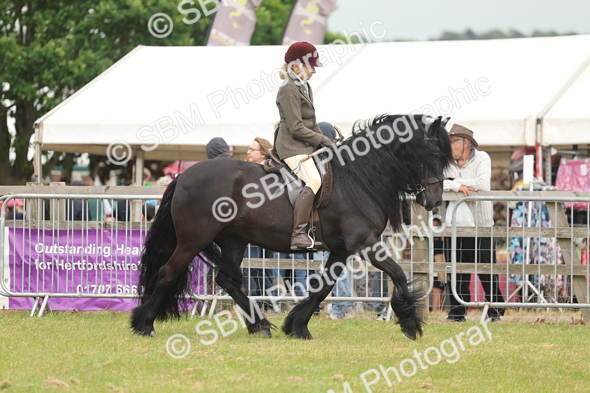 SBM_08913 - Class 78-80 - Ridden M&M Non Welsh Ponies