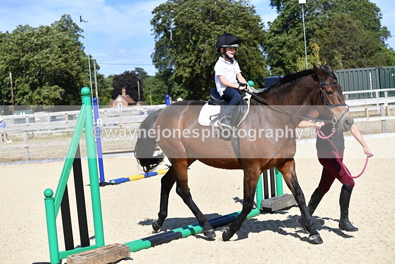 WJ5_5190 - Poles on the Floor