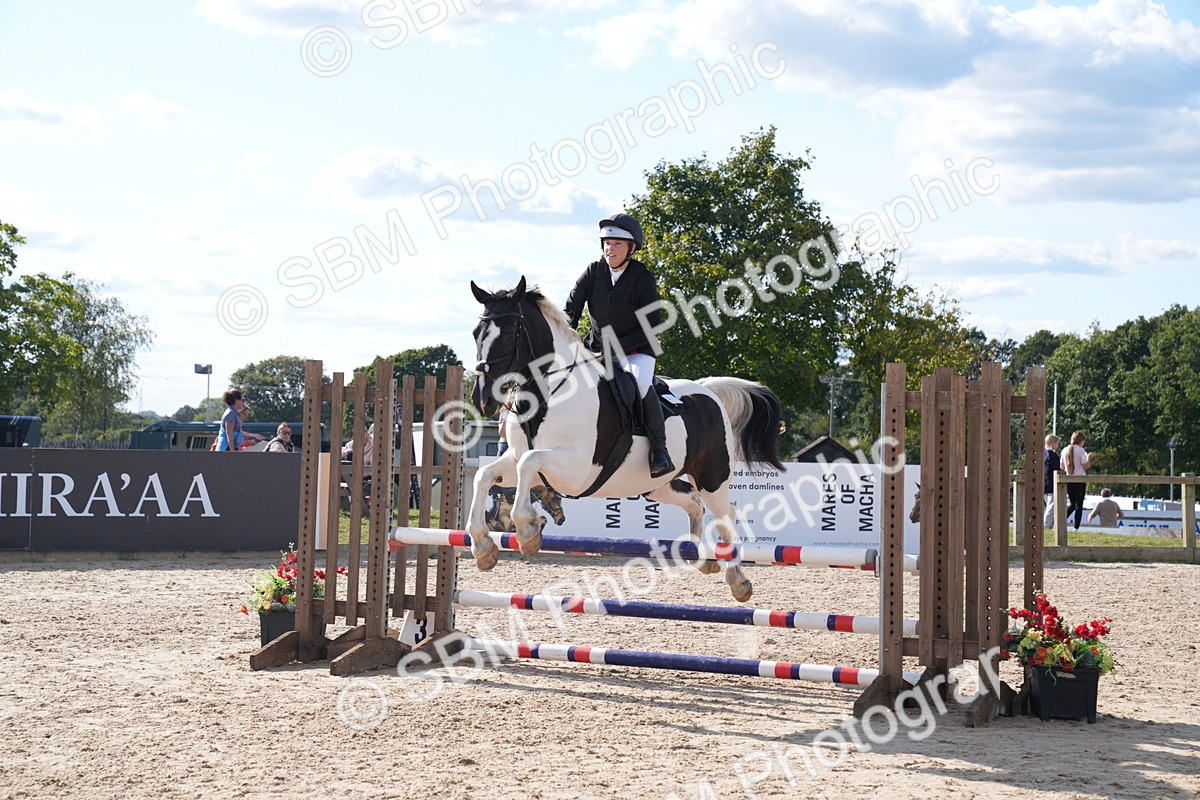 SBM_26047 - J61 - Clear Round 75cm & 85cm